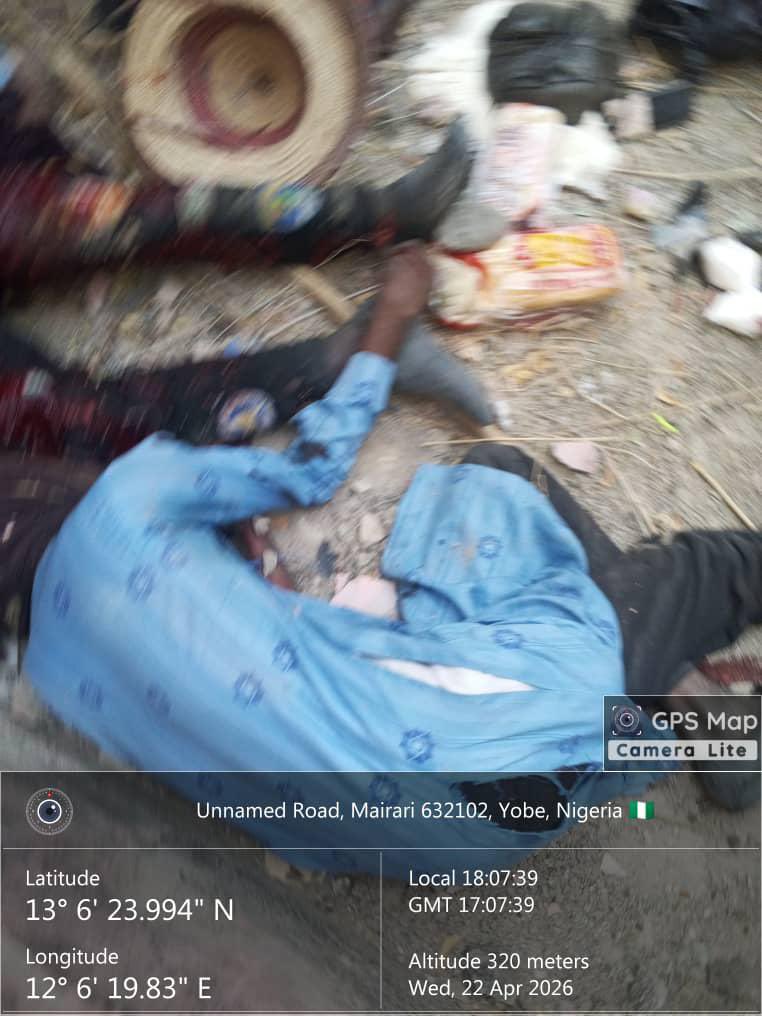 Zagazola tweet media