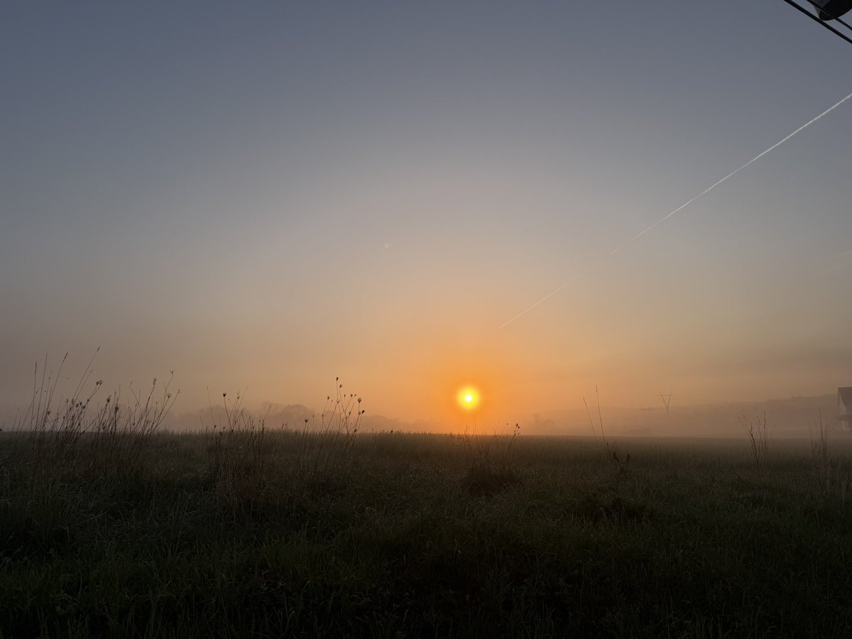 MrsBurns231's tweet photo. Take your child to work day allowed me to have an extra hour this am, which meant I could enjoy a sunrise walk along with my morning lift #behappy #sunrisesaremyfavorite #justlift #fitleaders https://t.co/bXq4owOlqA