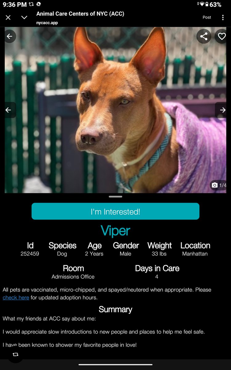 Char Bolen tweet media