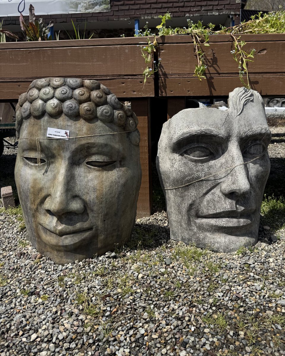 GardenStateKoi's tweet image. A statement piece for your outdoor space. Stone faces are now in stock! Stop by and explore our selection while supplies last. #GardenStatue #OutdoorDecor #WarwickNY