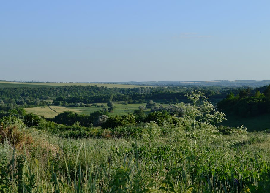 Richard Ibarra tweet media