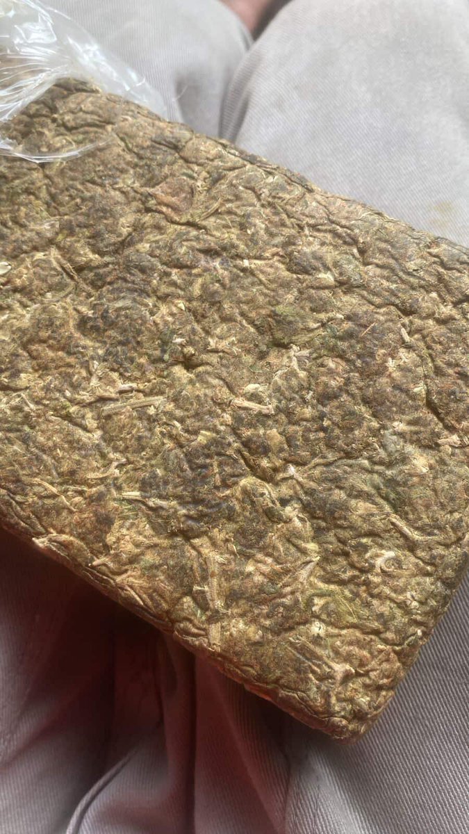 delivery1012's tweet photo. Entregas rápidas e discretas em belo Horizonte e região 🛵
.
.
.
#delivery #bh #maconha #beloHorizonte #skank #contagem #colombiagold #betim #savassi #bhcremas00 #ice #fullmelt #cremas #crumble #maconhabh #prensado  #cannabis #MinasGerais #haxixe https://t.co/S9q8xLn4Zq