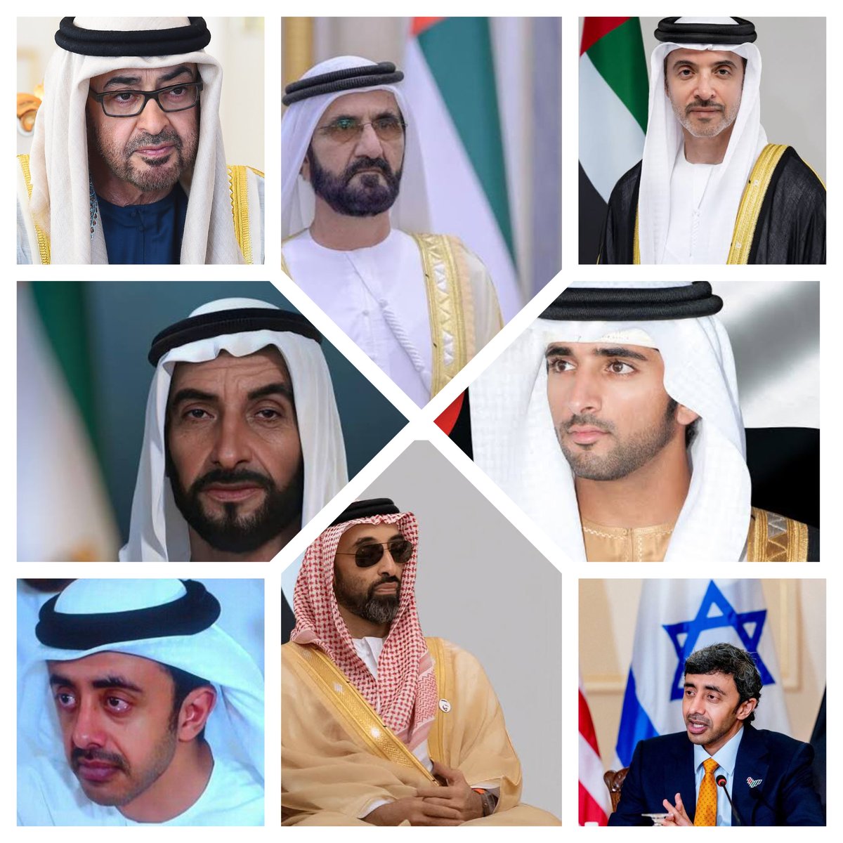 شفاء الناصر tweet media