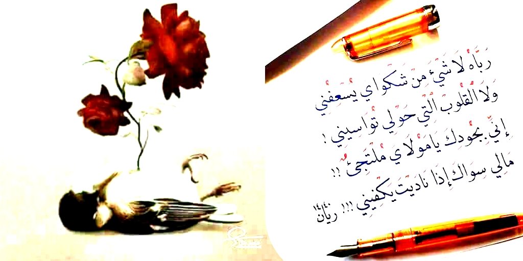 حل واجبات حل اسايمنت تحليل احصائي رسائل ماجستير tweet media