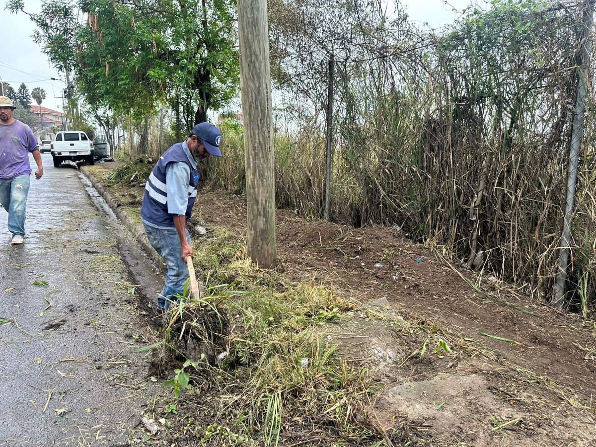 amdc_verde's tweet photo. Damos continuidad a las labores de limpieza en Lomas del Guijarro, reforzando las acciones para mantener espacios más ordenados, seguros y en mejores condiciones para la comunidad.

¡Ahora, el trabajo continúa para una ciudad más limpia! https://t.co/MKugqpQLBT