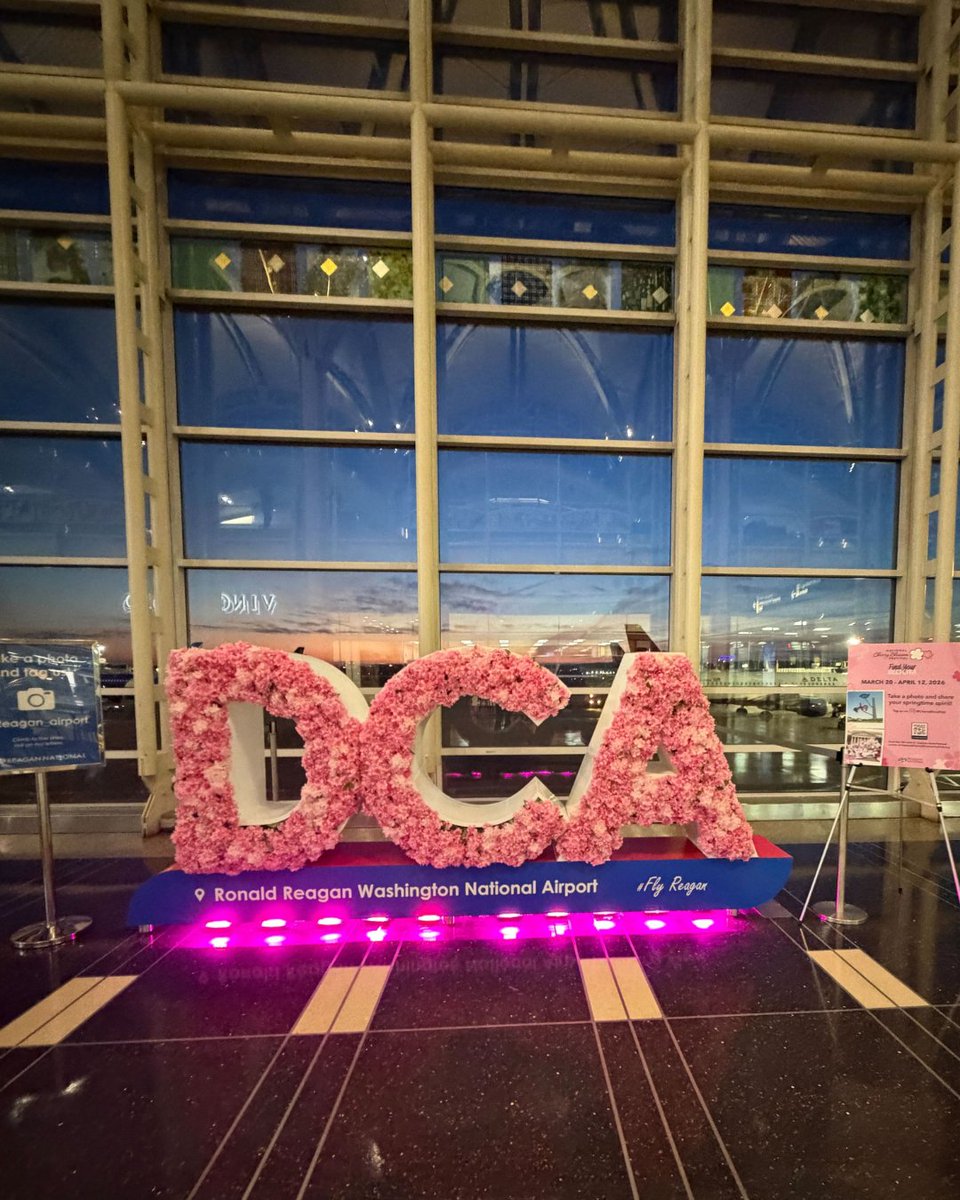 CherryBlossFest's tweet photo. From arrival to takeoff 🌸✈️
Cherry blossom installations at @Dulles_Airport &amp; 
@Reagan_Airport welcomed travelers all season long.Thanks to @MWAAHQ for helping bring the Festival to life 🌸 https://t.co/4k1HvhGUHQ