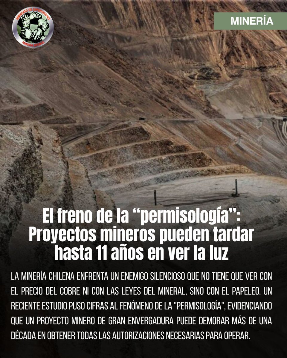 Supervisores Spence - Bhp tweet media