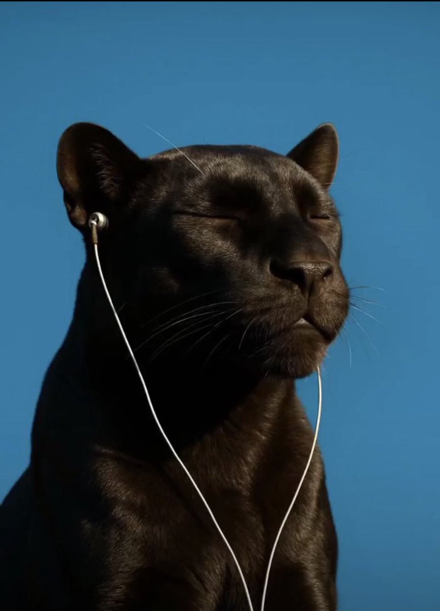 Enough. pi tweet media