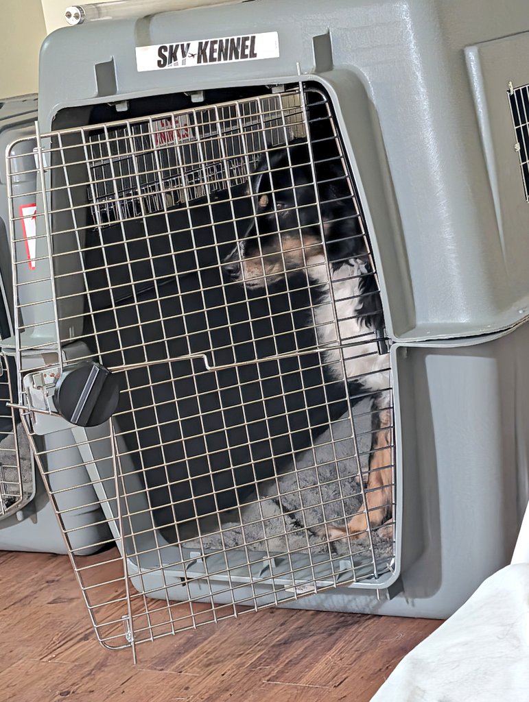 あかり🏝 tweet media