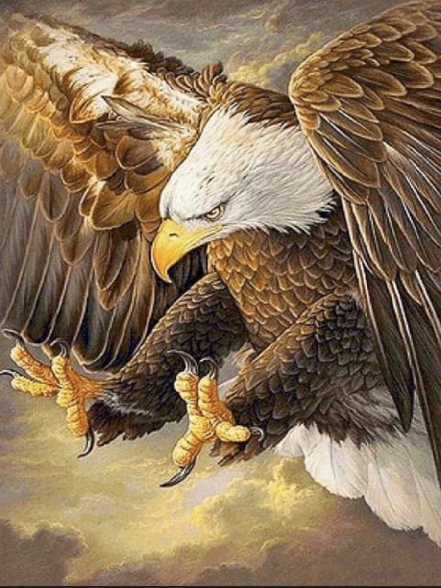 Nowell Sanders tweet media