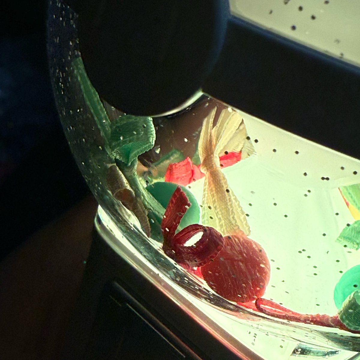 스스 넘 재밌었따 ꒰ঌ(⃔ ⌯' '⌯)⃕໒꒱