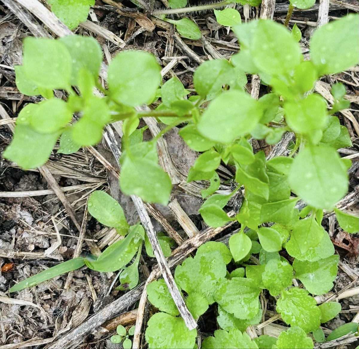 和のお釜めしIII tweet media