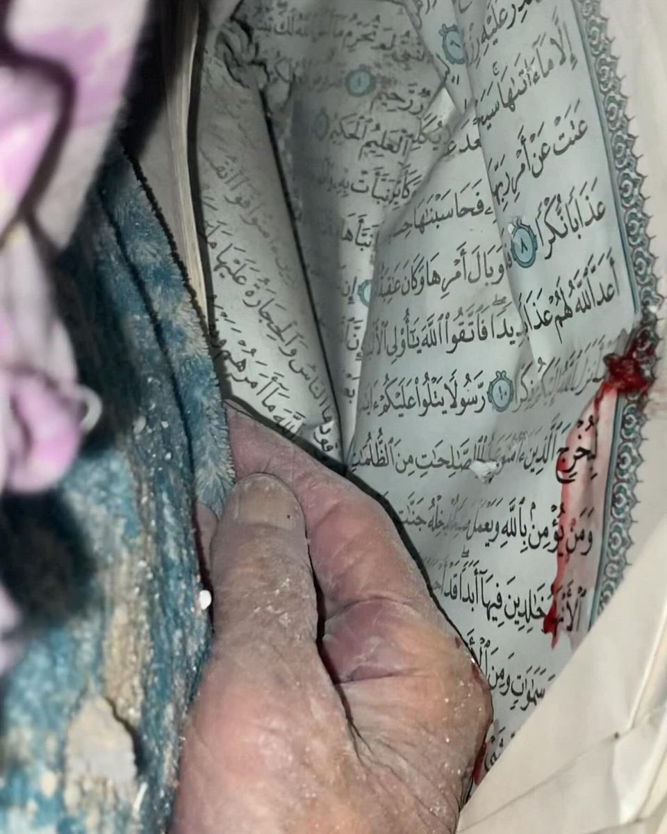 Filistinli yaşlı bir kadın Kur’an okurken katledildi 
Filistinli yaşlı bir kadın Kur’an okurken katledildi 
Filistinli yaşlı bir kadın Kur’an okurken katledildi 
Filistinli yaşlı bir kadın Kur’an okurken katledildi 
Filistinli yaşlı bir kadın Kur’an okurken katledildi 
Filistinli