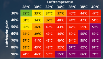 Michael Schmidt tweet media