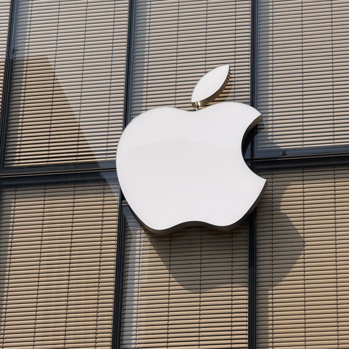 Pusholder tweet media