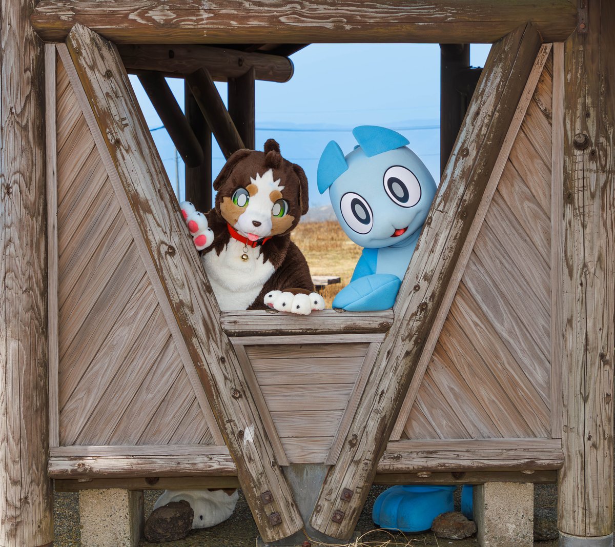 光太郎/阿爾貝爾/아르베르/Albert tweet media