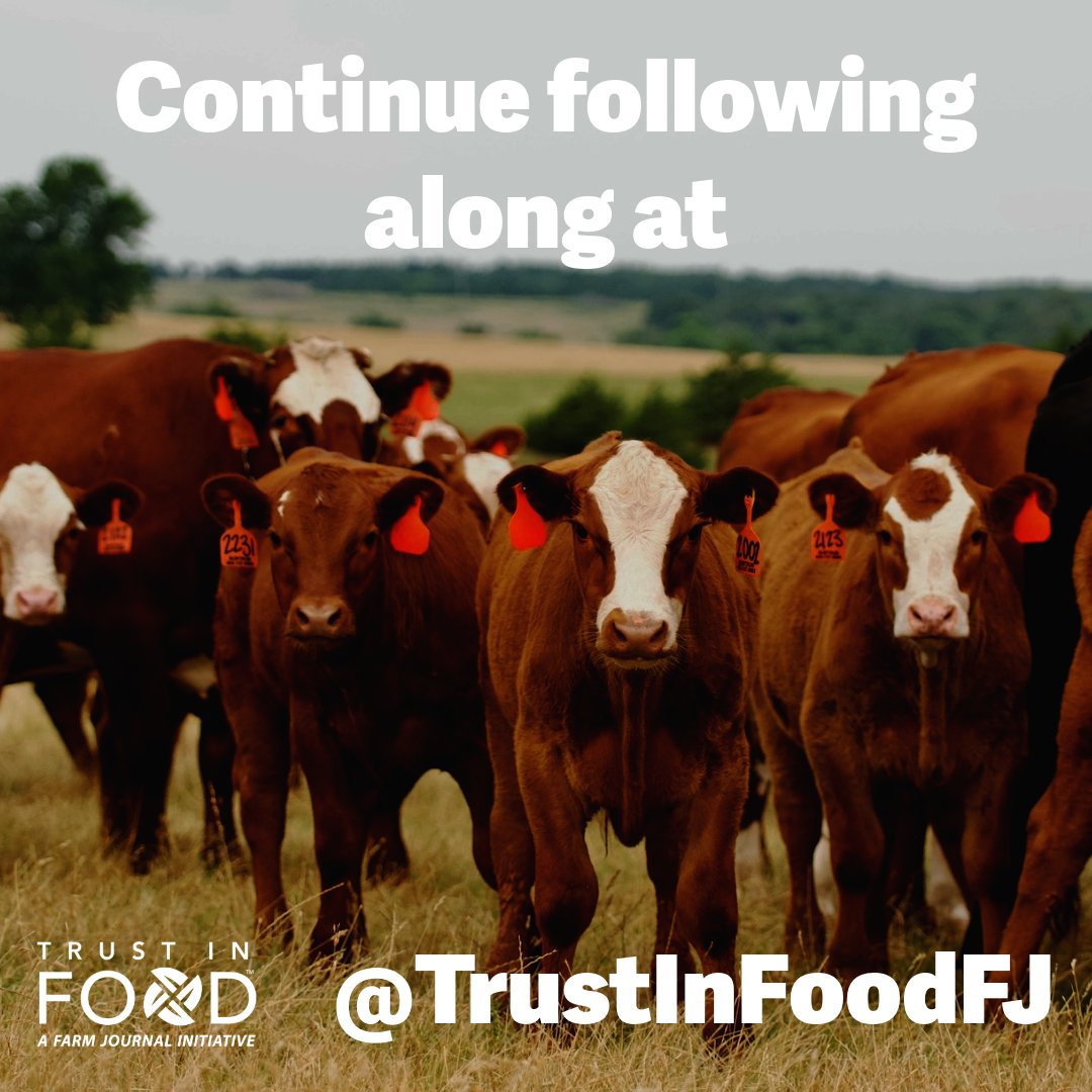 TrustInBeef tweet media