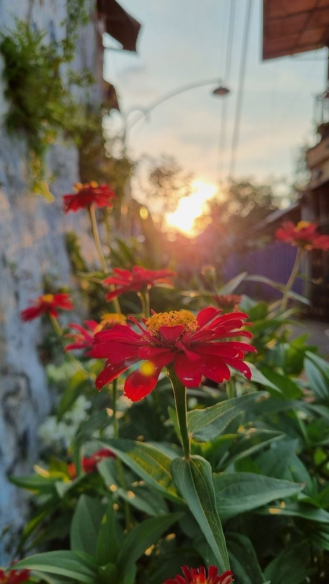 Saavni Srivastva 🍁 tweet media