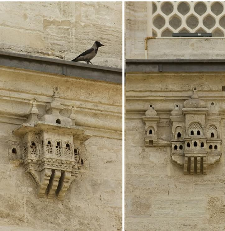 LeoDaVinciWave tweet media