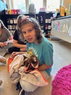 mbergschools's tweet photo. Students in Mrs. Watson's class at Muhlenberg County Middle enjoyed a special visitor during class yesterday. 🐐 It's hard not to smile holding a sweet, baby goat! https://t.co/X4R4GhASuh