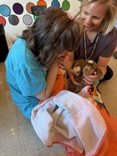 mbergschools's tweet photo. Students in Mrs. Watson's class at Muhlenberg County Middle enjoyed a special visitor during class yesterday. 🐐 It's hard not to smile holding a sweet, baby goat! https://t.co/X4R4GhASuh