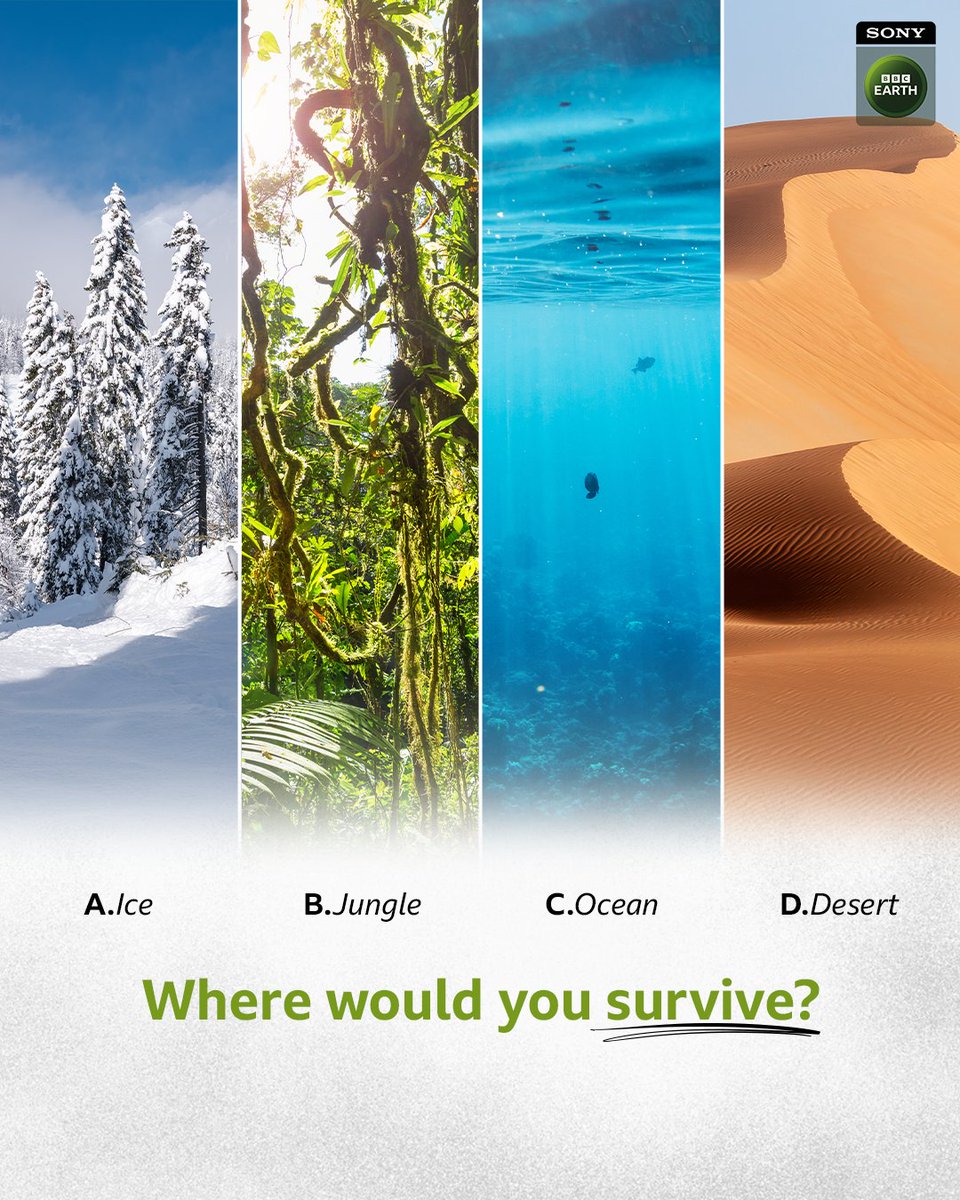 Sony BBC Earth tweet media