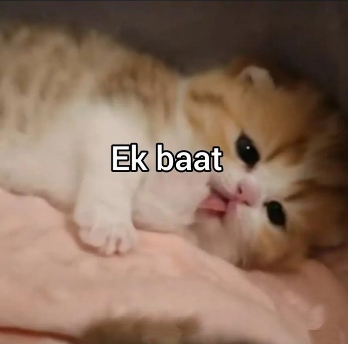 Wallflower_X🌊🦢 tweet media