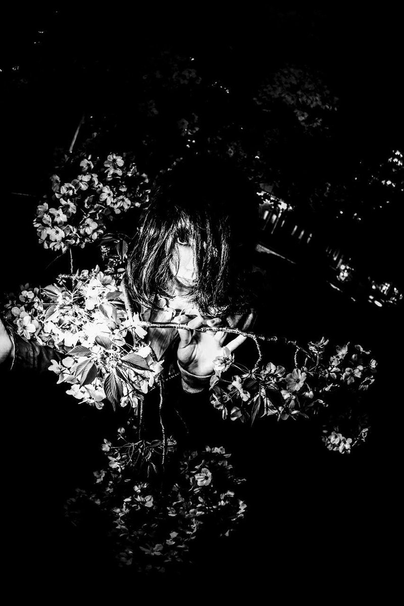 Ｄ/fake-fantay.7/12 tweet media