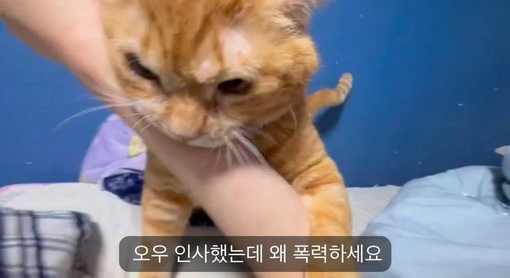 달리 tweet media