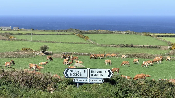 Image from Blue Waters, Newlyn (@BlueWaters_H0L)