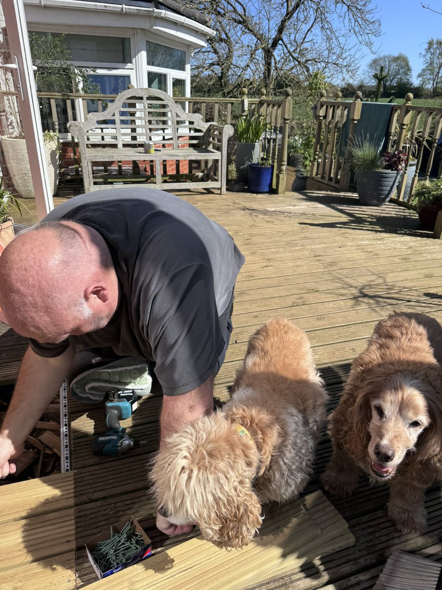 SpanielsSuper's tweet image. Dad here……

Oh yes I would!
#Faster #MoreEfficient #LessMess #BetterResults 

#PairOfPains 🤬