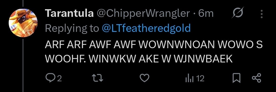 《 ᦓᥴꪗꪻꫝꫀ 》 tweet media