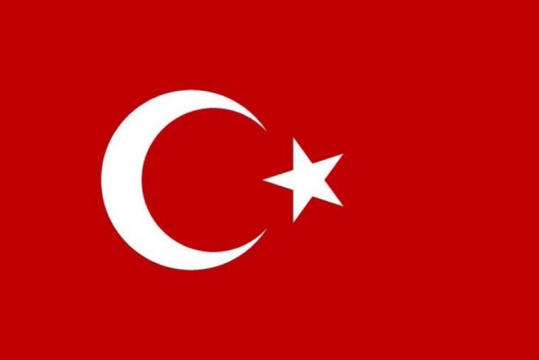 EFEKIZ Nermin Seçkin 𐰣𐰾𐰀𐰲𐰚𐰃𐰤 tweet media