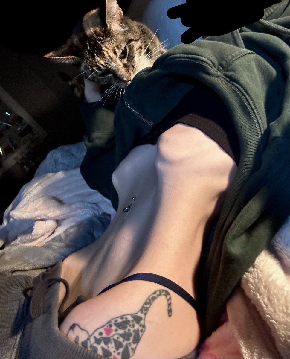 ཐི♡ཋྀ 𝓀𝒶𝓉 ཐི♡ཋྀ tweet media