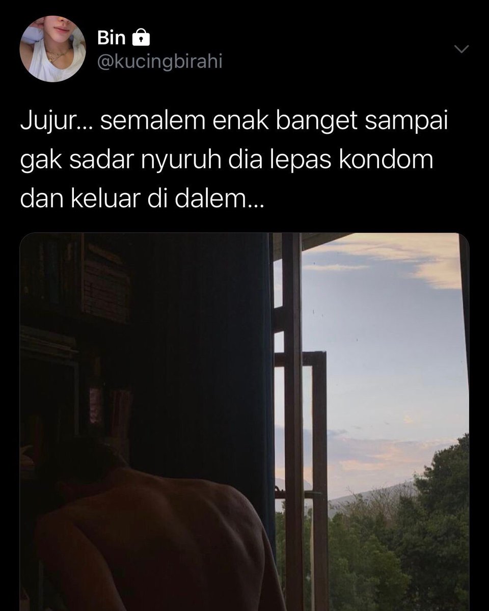 Dan tweet media