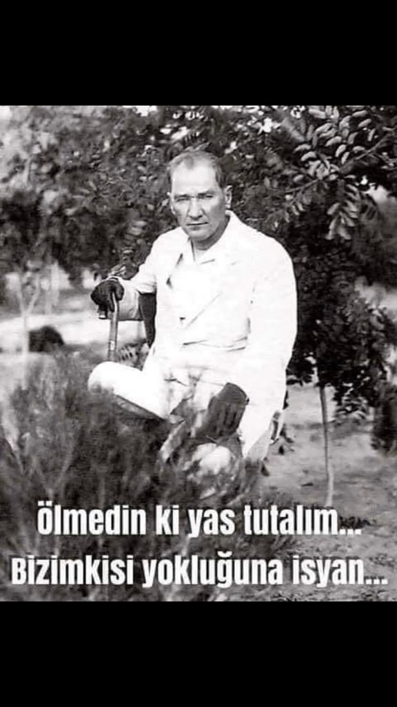 sayer TC vatandaşı 🌳🌲🌳🌲 tweet media