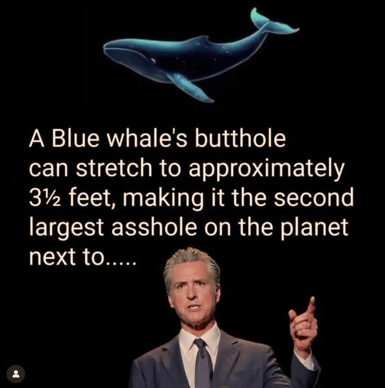 FakesMatthew's tweet photo. @GavinNewsom https://t.co/Sgovaw2h7W