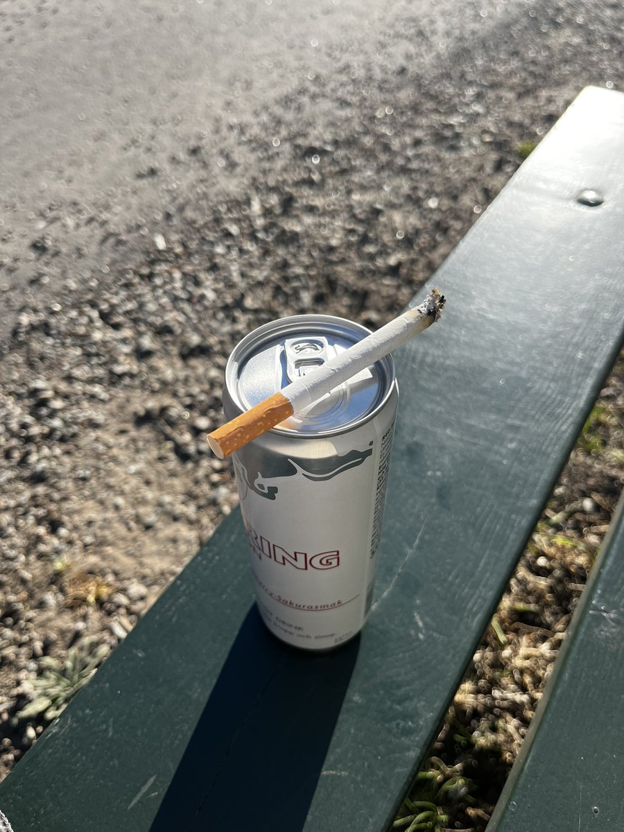 Finny 🎼 tweet media