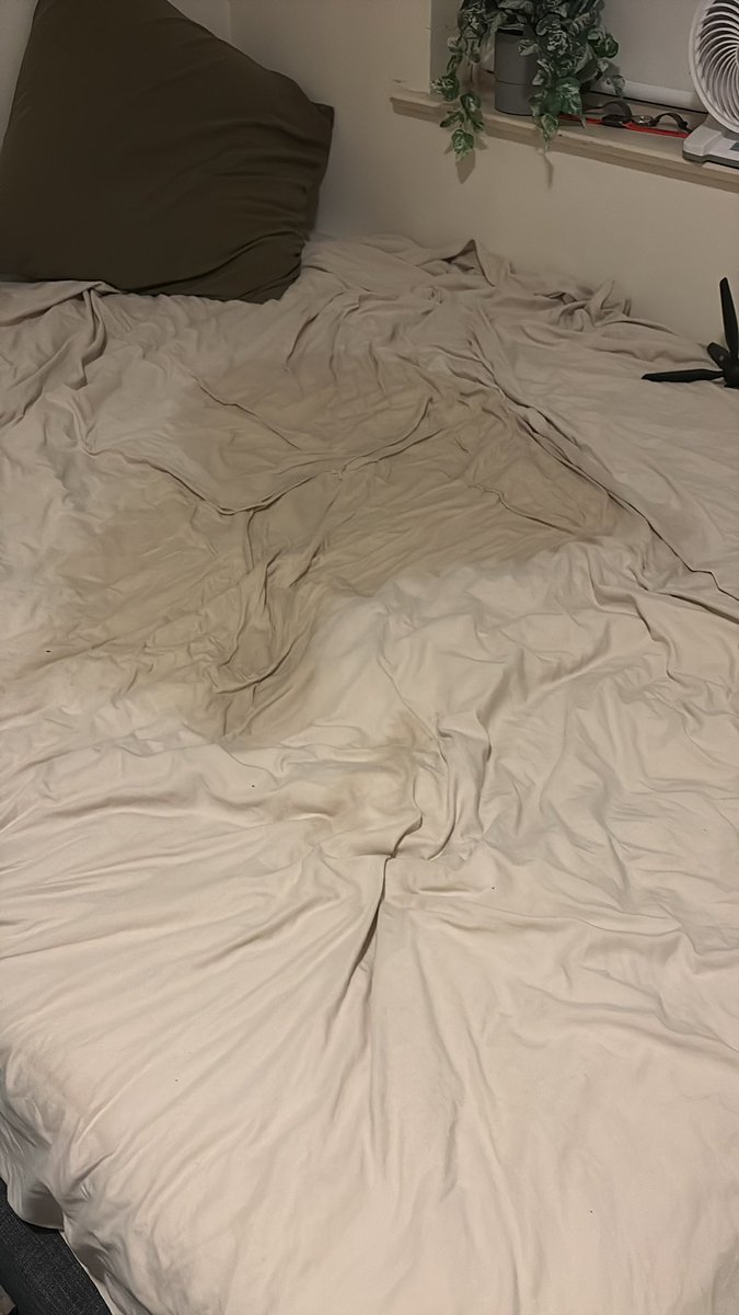 Aussie Holding tweet media