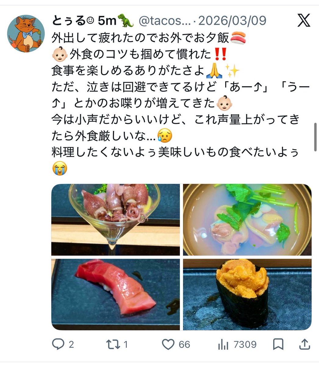 ねこしゃん tweet media