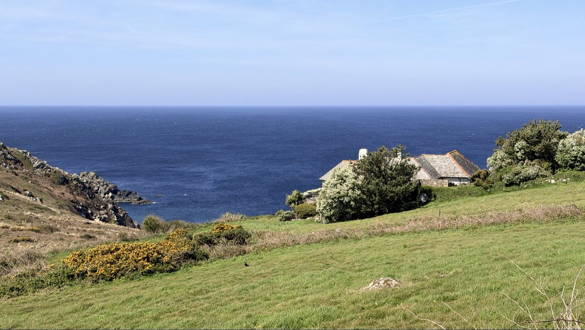 Blue Waters, Newlyn tweet media