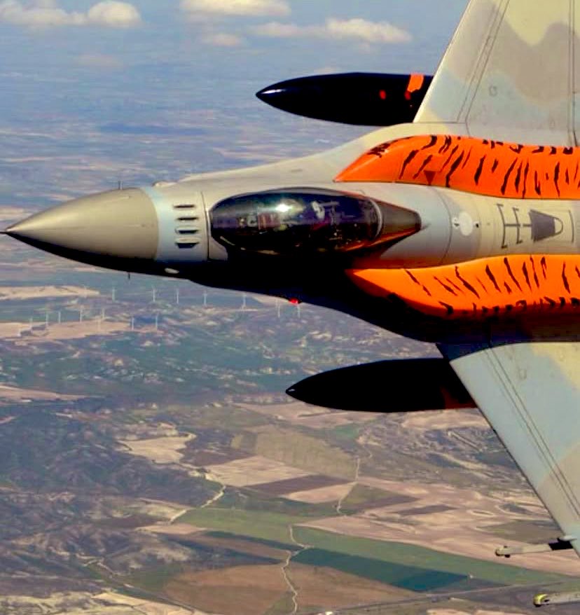 TheBlackWolf tweet media