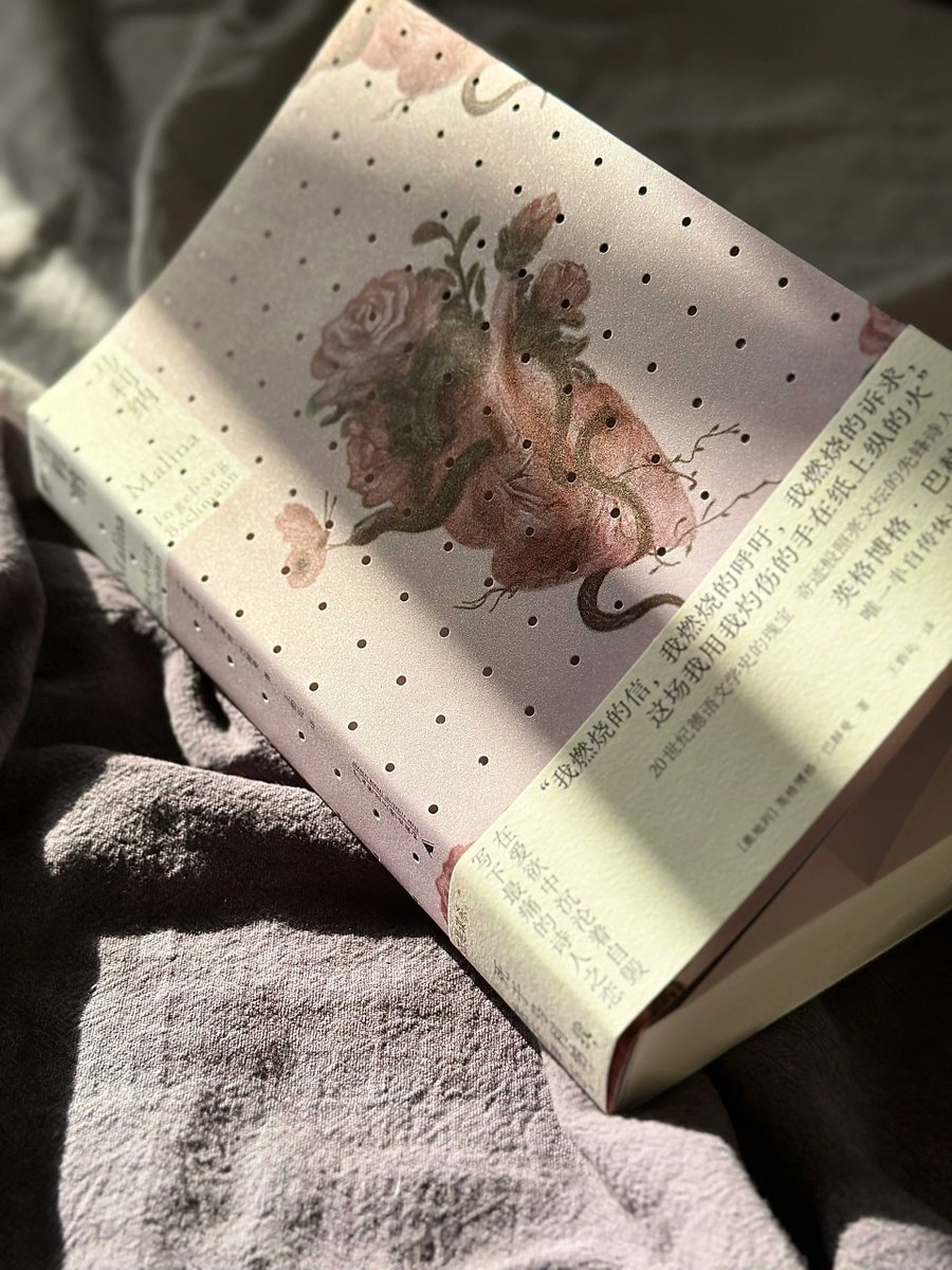 jd_marble's tweet image. "The Alchemist" by Paulo Coelho: A shepherd’s journey to find treasure teaches that dreams are worth chasing—even when the path twists. A short, profound read for quiet afternoons. #BookLovers #MustRead