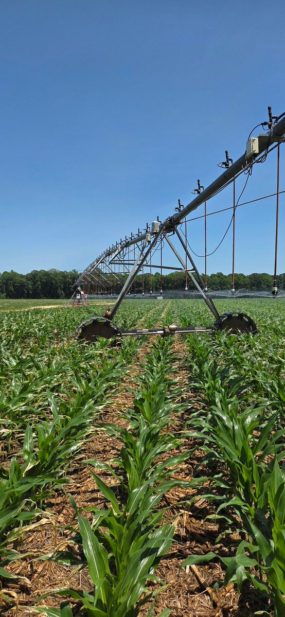 Jarrod Miller tweet media