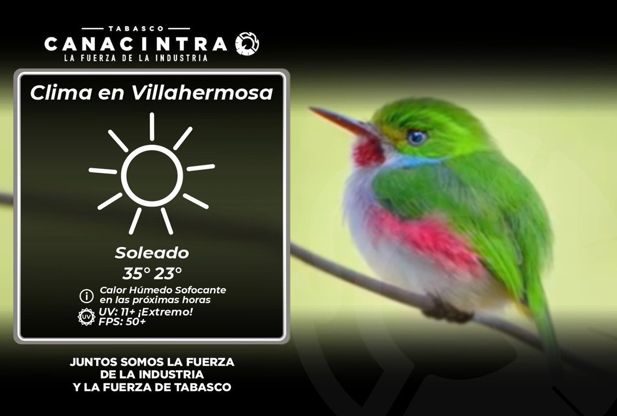 Canacintra Tabasco tweet media