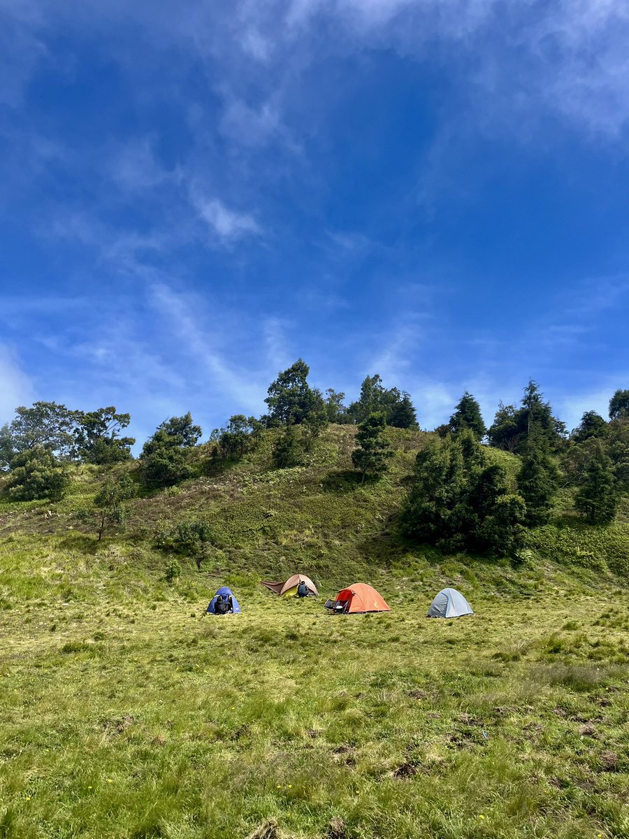 Pecel Lele. tweet media
