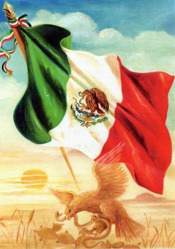 Mizuki 🇲🇽🌮 tweet media