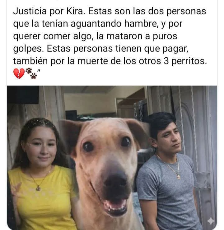 CasandraAnam tweet media