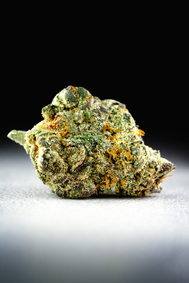 The_Dopest_Shop's tweet image. This Saba 11 from our Ronin X The Dopest collab is just stupid fire #indoor