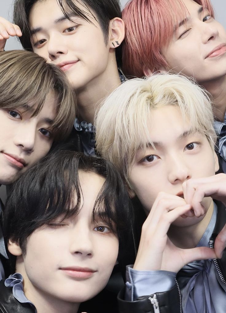 콩비 tweet media